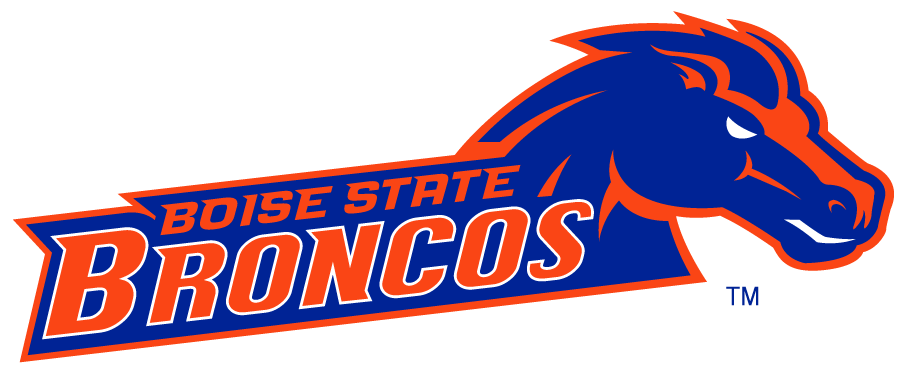 Boise State Broncos 2002-2012 Secondary Logo v11 diy iron on heat transfer